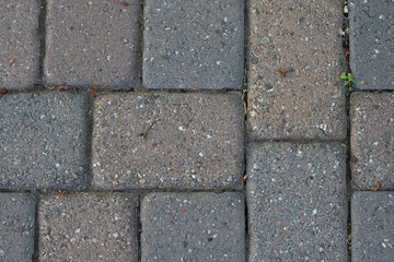 Looking down at paver stones on patio.
