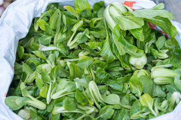 Fresh chinese green cabbage pak choi in bag. - obrazy, fototapety, plakaty