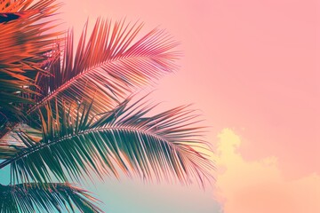 Fototapeta na wymiar Beautiful palm tree against a sunset sky background A vintage tropical beach banner with space for copy, presented flatly and shot from a low angle Generative AI