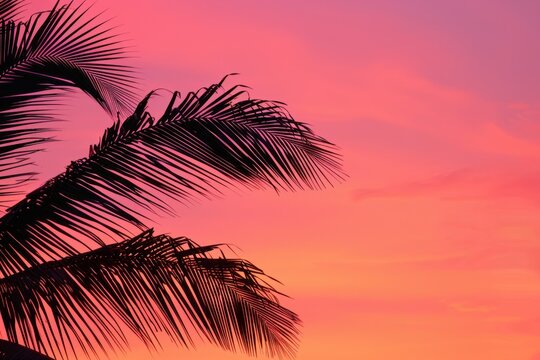A vibrant pink and orange sunset sky with a palm tree silhouette in the foreground, creating an exotic tropical background for travel advertising or vacation branding Generative AI