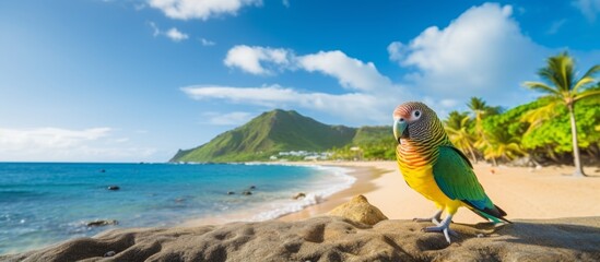 Vibrant araffe parrot perched on a rocky terrain surrounded by lush palm trees on a serene sandy beach