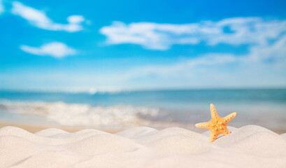View of a beach with starfish on the sand under the hot summer sun, selective focus. Concept of sandy beach holiday, background with copy space for text