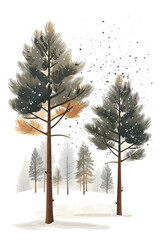 Dwa drzewa,zima,szron - obrazy, fototapety, plakaty