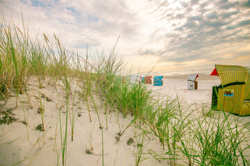 sandy beaches and sandy grass. Frisian islands beach plants. Beach grass and Beach cabins on white...