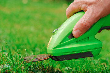 lawn trimmer. electric trimmer in a mans hand cuts the grass. process of cutting grass close-up.Garden equipment and tools. - obrazy, fototapety, plakaty