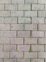 Overhead texture of a gray paver stone sidewalk with moss growing.