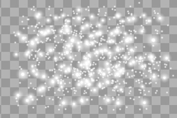 Snowflakes, snow background. Christmas snow for the new year.