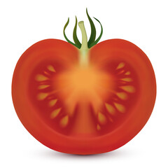 Tomato vertical cut isolated on white background. Vector illustration created using gradient meshes