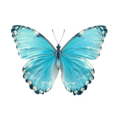 A blue butterfly with white spots on its wings
