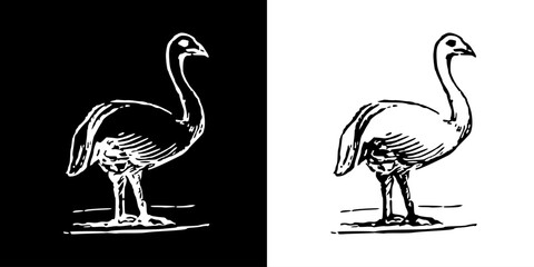 Bird icon. Black icon. Line icon. Black line. Animal. Silhouette