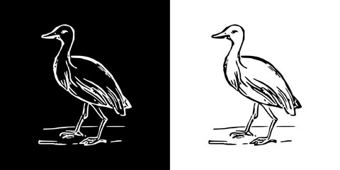 Fototapeta premium Bird icon. Black icon. Line icon. Black line. Animal. Silhouette