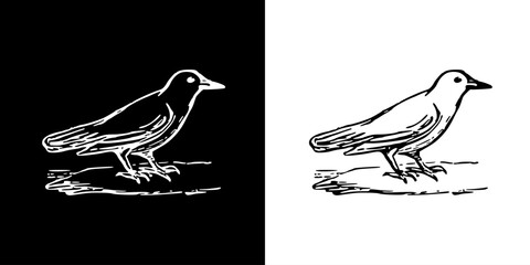 Bird icon. Black icon. Line icon. Black line. Animal. Silhouette