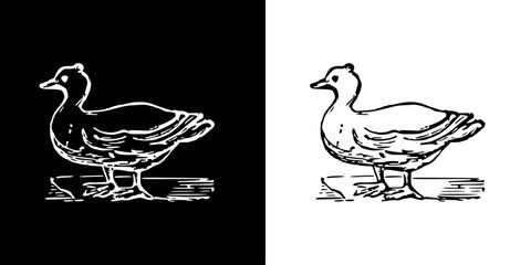 Bird icon. Black icon. Line icon. Black line. Animal. Silhouette