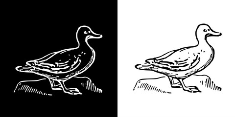 Bird icon. Black icon. Line icon. Black line. Animal. Silhouette