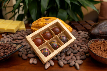 A box of chocolate with chocolates inside placed sideways, and at the base, cocoa beans and cocoa nibs, beside a container of cocoa powder. Ecuadorian fine aroma chocolate