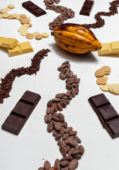 Chocolate Production: From cacao pods, beans undergo fermentation, yielding nibs that are later refined into cocoa mass and powder. This journey culminates in the creation of exquisite Ecuadorian 