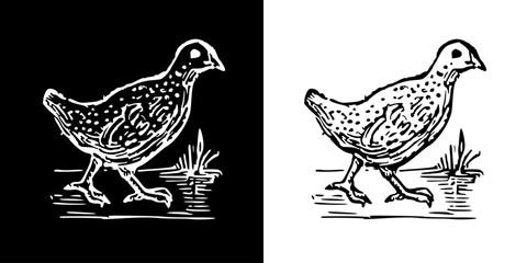 Bird icon. Black icon. Line icon. Black line. Animal. Silhouette