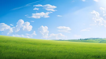 Fotobehang Green grass field and blue sky with white clouds © jiejie