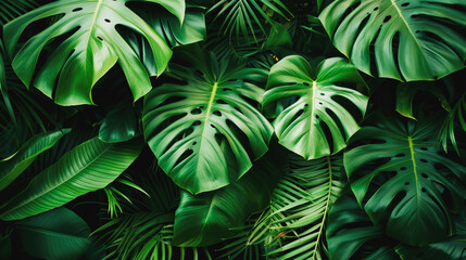 Full frame shot of tropical green leaf - Powered by Adobe