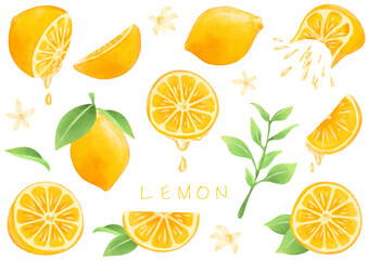 綺麗なレモンの素材イラストセット - obrazy, fototapety, plakaty