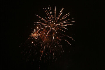 fireworks in the sky