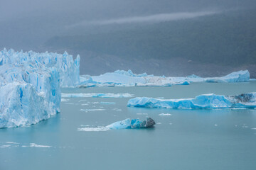 Perito Moreno glacier in Argentinian Patagonia - 774517816