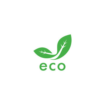 logo icon design with two leaves