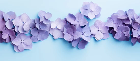 Fotobehang Blooming violet flowers contrast beautifully against a vibrant blue backdrop, creating a striking and colorful composition © AkuAku