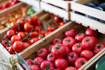 Harvest of ripe tomatoes of different varieties, put up for sale in crates on the counter in the...