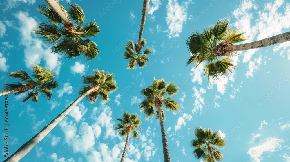 Poster a cluster of palm trees swaying in the breeze ai generated illustration