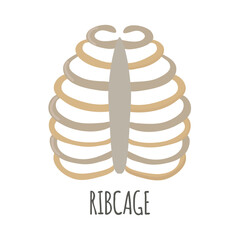 Ribcage icon clipart avatar logotype isolated vector illustration