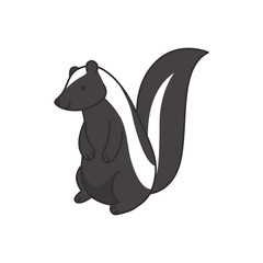 Vector illustration of a skunk