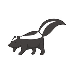 Vector illustration of a skunk