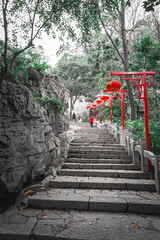 Fototapete bei efototapeten.de bestellen   