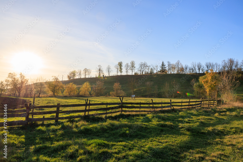 Wall mural A large, open field with a fence in the middle