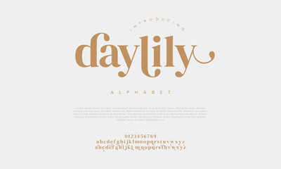 Daylily elegant Font Uppercase Lowercase and Number. Classic Lettering Minimal Fashion Designs. Typography modern serif fonts regular decorative vintage concept. vector illustration