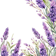 Obraz premium Lavender corner border. Watercolor botanical banner for the design of invitations, cards, congratulations, announcements, sales, stationery, sharp outline