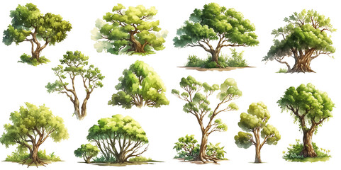 Watercolor tree clipart for graphic resources