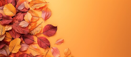 Vibrant Autumn Foliage in Tranquil Setting, yellow, orange and red background