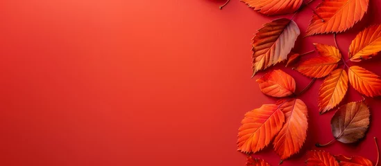 Gordijnen Vibrant Autumn Foliage in Tranquil Setting, orange and red background © nicole