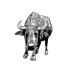 sketch of a buffalo with a transparent background