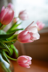 pink and white tulips in a glass vase
