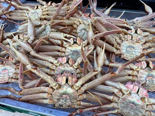 Fresh snow crab turned upside down