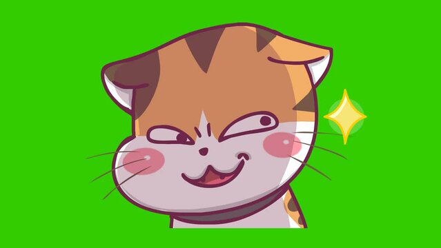 Cat cute animation on green screen