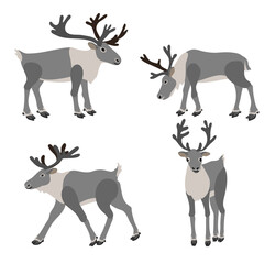 vector drawing reindeers, caribou isolated at white background, hand drawn illustration