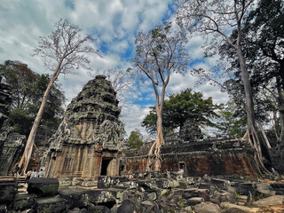 Ta Prohm Temple: An Oasis of Tranquility in the Heart of Angkor Wat, Siem Reap, Cambodia