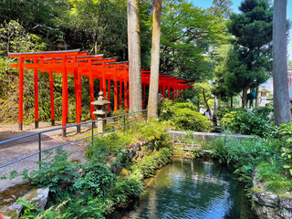 Tranquility at Inaba Shrine: Capturing Japan's Spiritual Essence, Gifu, Japan