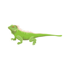 vector drawing green iguana isolated at white background, hand drawn illustration - 774558821