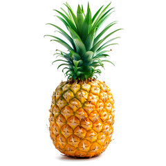 Fototapeta premium pineapple isolated on white background