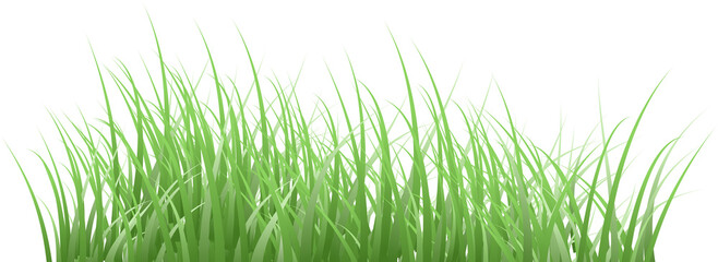 grass clipart